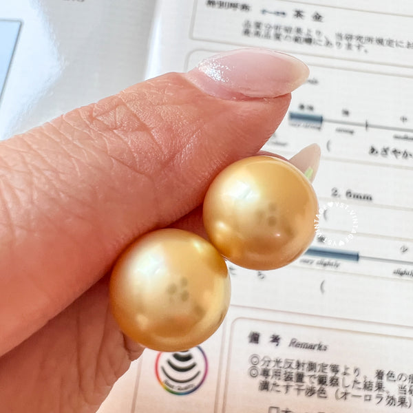 11.1mm 茶金 The South Sea Gold Pearl 18KYG Earrings