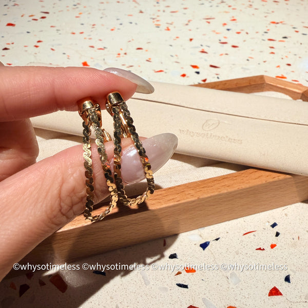 Vintage Monet 1980’s Shinning Ear Clips