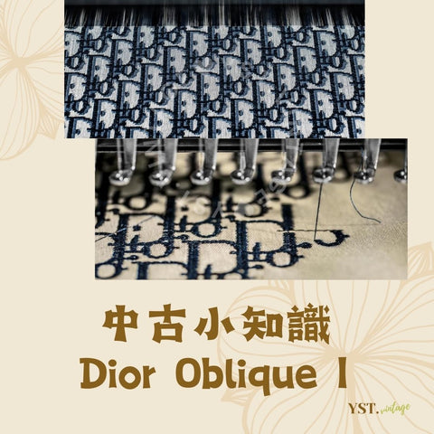 中古小知識 - Dior Oblique